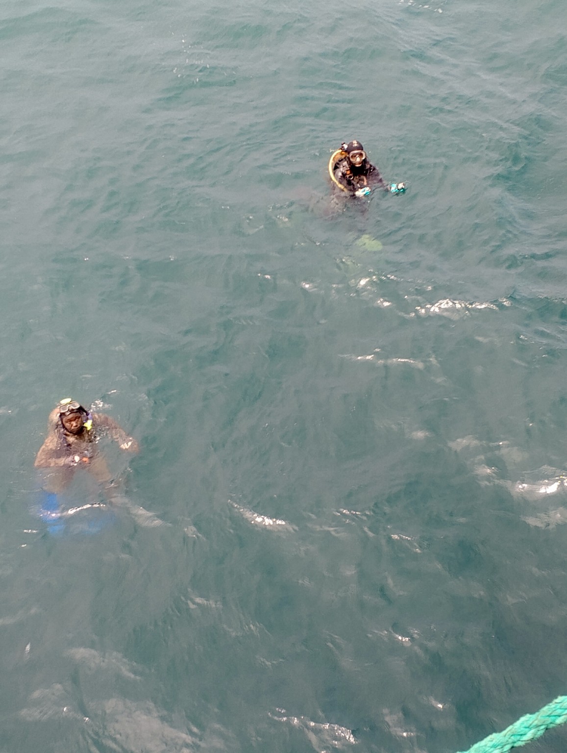 Scuba divers carrying out underwater marine inspection